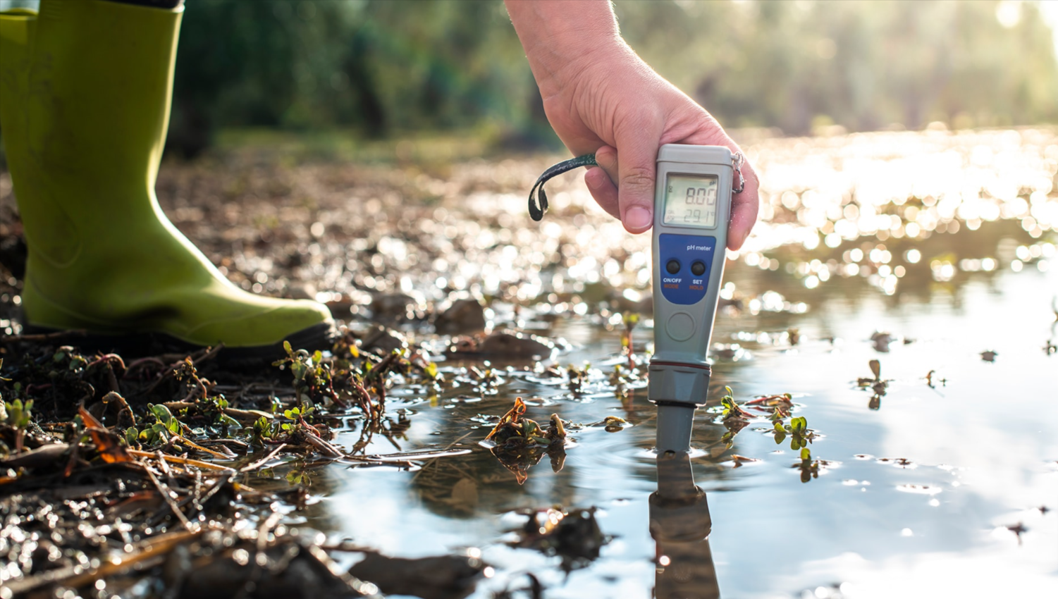 How to Build a Home Water Quality Monitoring System